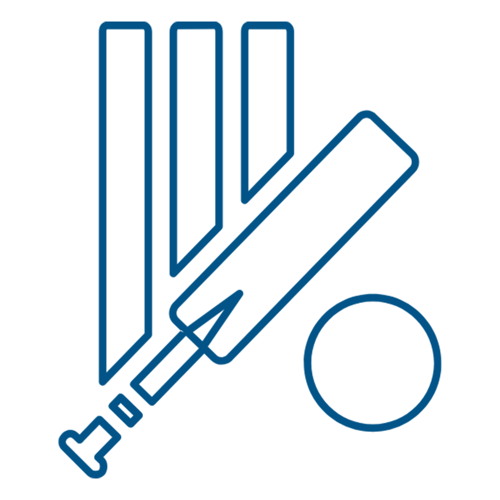 Cricket Gears WHite Icon