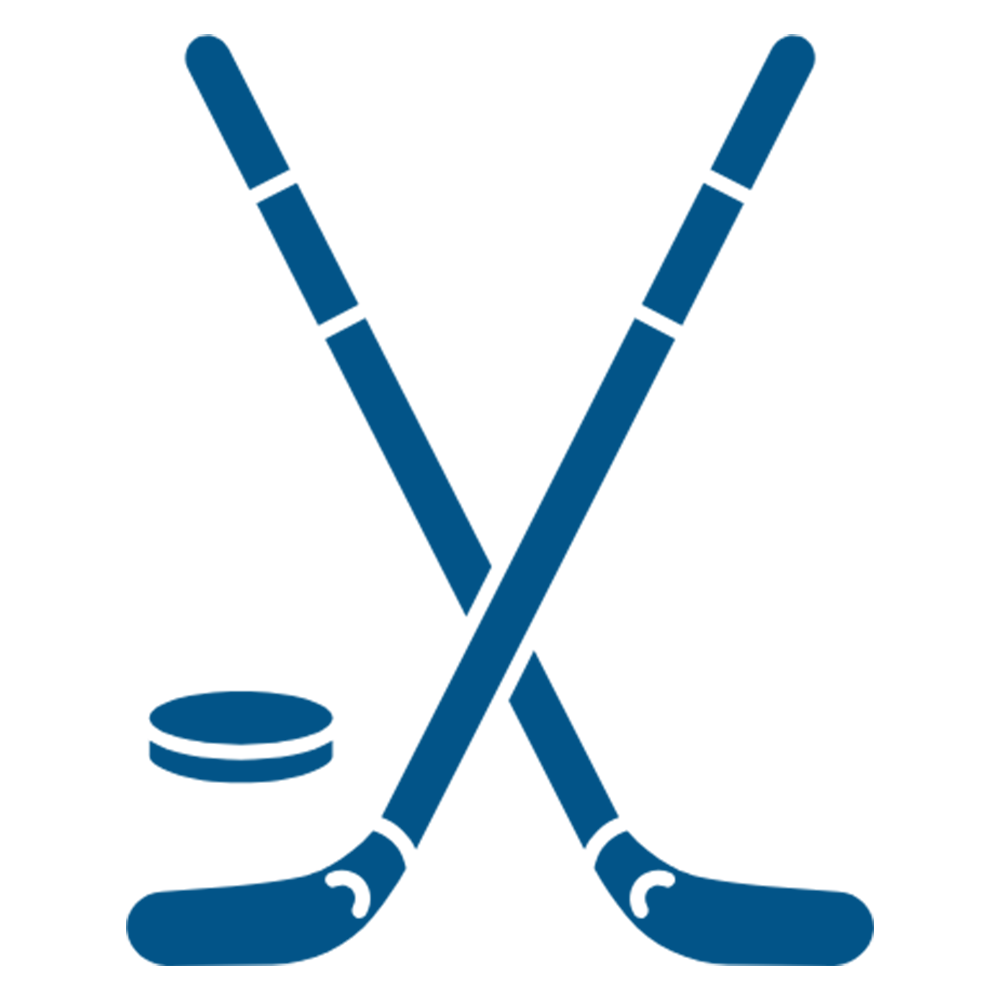 Hockey Gears WHite Icon