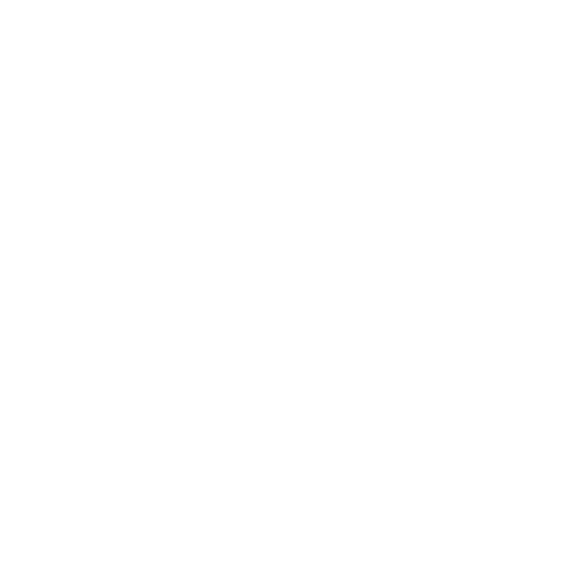 PDF File