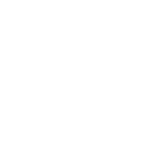 Sports Bag Icon