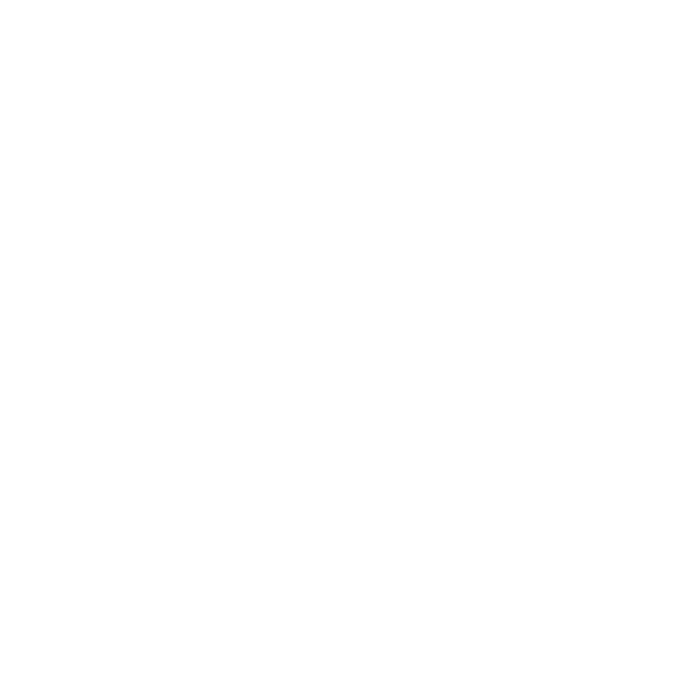 Sports Bag Icon